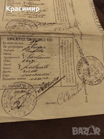 Документ за продажба на добитък.1911 г.Румъния ., снимка 3 - Антикварни и старинни предмети - 52448336