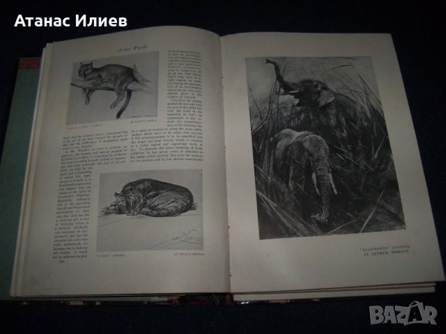 Шест броя на "The Studio" списание за изящни изкуства от 1911г., снимка 10 - Списания и комикси - 27656963