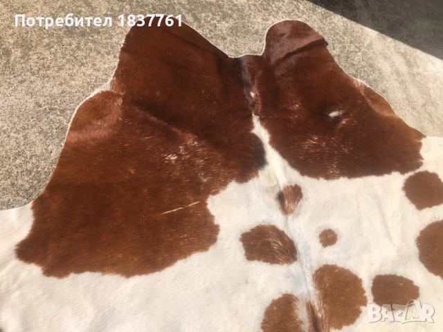 Телешка кожа , снимка 3 - Декорация за дома - 52242930