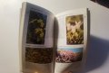 Фотографски определител на дивите цветя в Европа Над 250 вида с цветни снимки Пол Стери, Боб Прес, снимка 7