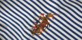 POLO Ralph Lauren  Cotton Custom Fit Mens Size L ОРИГИНАЛ! НОВО! Мъжка Риза!, снимка 11