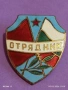 Емайлирана значка ОТРЯДНИК Доброволен сътрудник МВР за КОЛЕКЦИЯ 53498, снимка 3