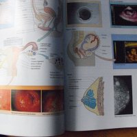 Medical terminology. The Language of Health Care., снимка 6 - Енциклопедии, справочници - 40695366