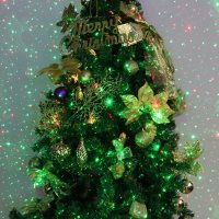 Dalanpa Коледни светлини за дома и градината, Цвят - Червен, Зелен, снимка 2 - Декорация за дома - 43119540
