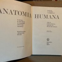 ANATOMIA HUMANA TOMO II, снимка 2 - Специализирана литература - 40371005