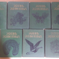 Жизн животнъих Енциклопедия в седем тома на руски език, снимка 1 - Енциклопедии, справочници - 44865955