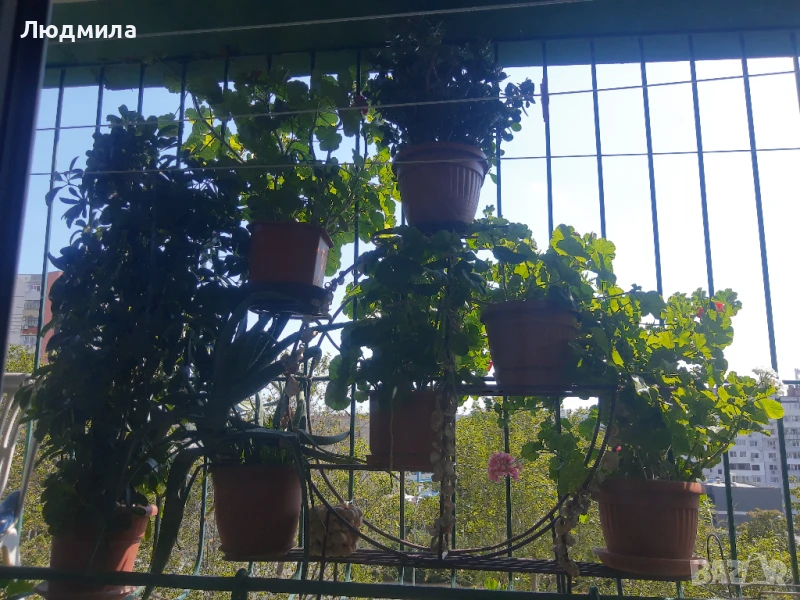 Цветарник,ковано желязо на няколко нива,грундиран и боядисанНАМАЛЕНИЕ195лв , снимка 1