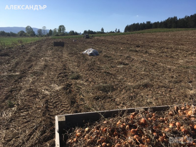 Земеделска земя. Продавам, снимка 1