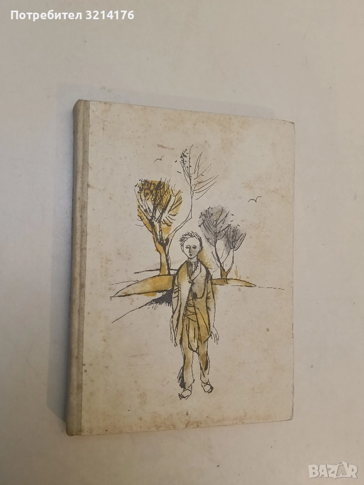 Малкият добруджанец - Дора Габе (1970г.), снимка 1