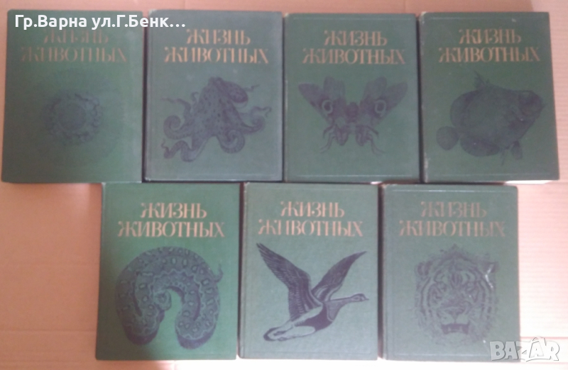 Жизн животнъих Енциклопедия в седем тома на руски език, снимка 1