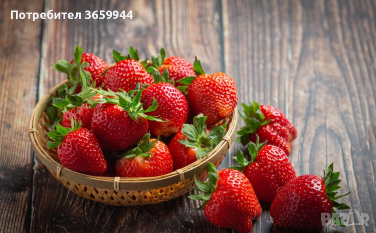 Предлагам елитен расад ягуди и малини, снимка 1