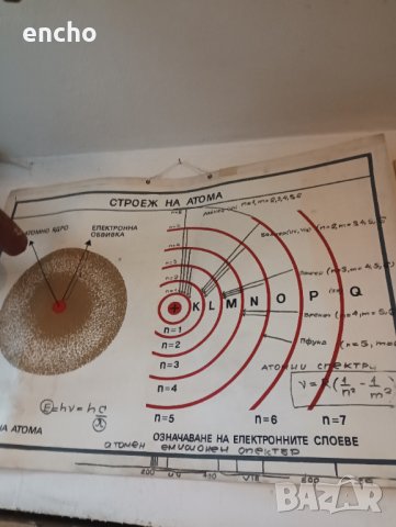 Ботанически растения плакати , снимка 11 - Антикварни и старинни предмети - 40667557