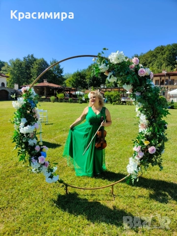 Певица, свиреща на цигулка, мандолина, пиано, ксилофон, глокеншпил и калимба за вашето тържество , снимка 5 - Dj - 52268555