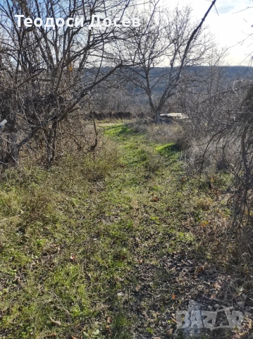 Продавам земеделска земя , снимка 2 - Земеделска земя - 53243811