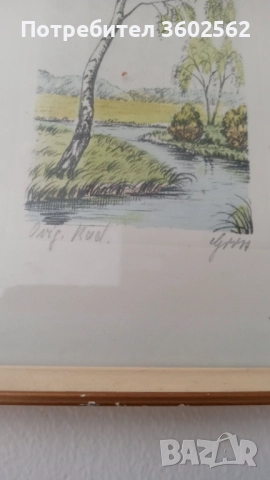 две офортни графики - ръчно оцветени , подписани, снимка 4 - Картини - 51729883