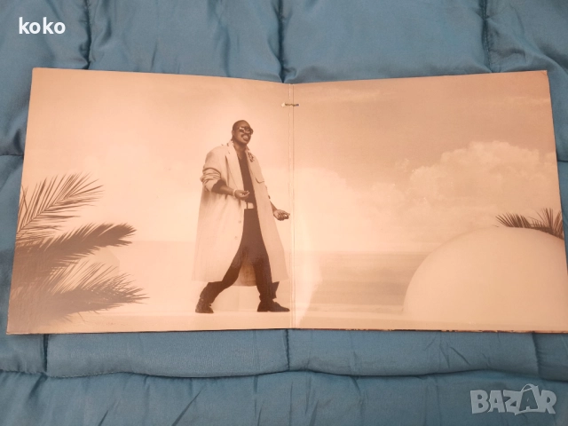 Музикални плочи Peter Tosh Stevie Wonder , снимка 7 - Грамофонни плочи - 52933716