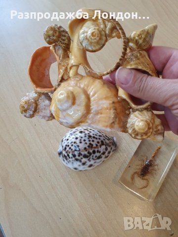 Морски стил, миди и др.