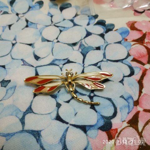 Нова вносна брошка, снимка 1