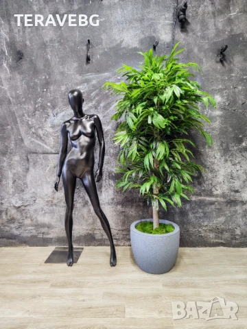 Декоративни дървета , снимка 5 - Изкуствени цветя - 50801494