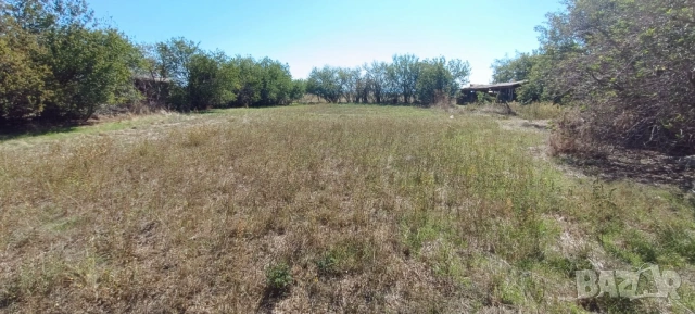 Продава, Парцел, с. Соколаре, 1 830 кв.м., 8 000 Е, снимка 5 - Парцели - 53014202