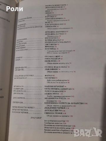 ЗООЛОГИЯ 6 клас на помощните у-ща П.МИХАЙЛОВА-ТОШЕВА, П.Андреева, снимка 3 - Учебници, учебни тетрадки - 50729149