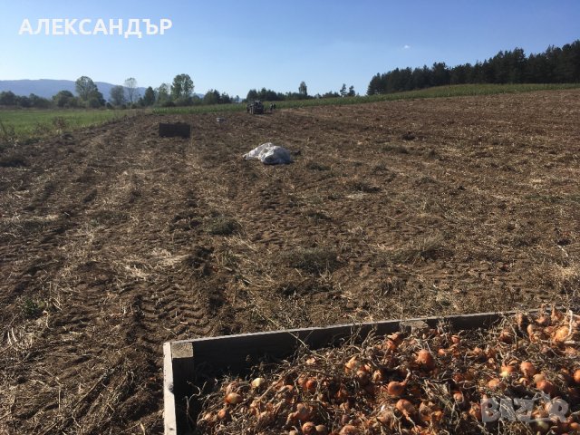 Земеделска земя. Продавам