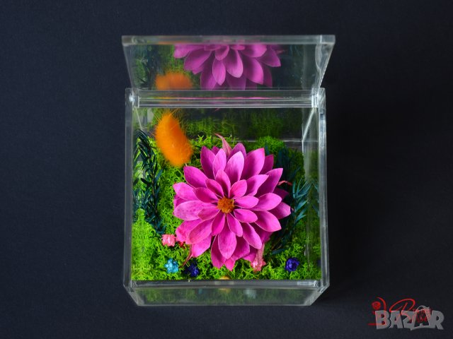 Вечни Цветя в Акрилна Кутия / Стилен Подарък за Рожден Ден на Жена / Естествена Вечна Далия в Кутия, снимка 8 - Подаръци за жени - 43749243