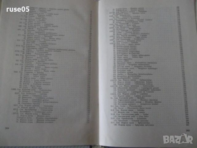 Книга "Рибите в Черно море - Колектив" - 248 стр., снимка 8 - Специализирана литература - 53219873