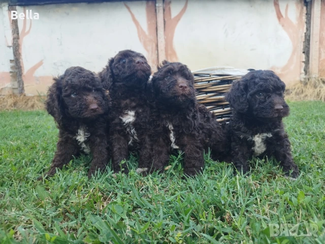 Лагото, снимка 1