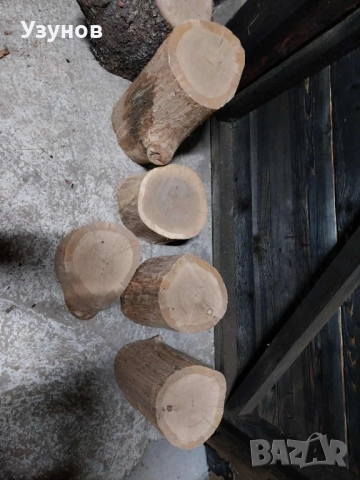  Дъбови Трупчета за месо и кокали, снимка 2 - Други - 52490951