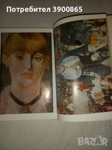 Продавам книга "Животът на Мане"- Анри Перюшо, снимка 4 - Художествена литература - 43342667