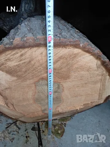 Орехов матерял , снимка 5 - Градински цветя и растения - 47464760