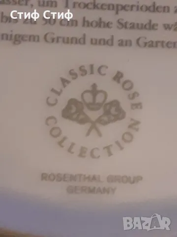  Ботаника Rose collection, снимка 7 - Други - 48721156