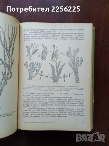 Практическо ръководство по систематика на растенията , снимка 3 - Специализирана литература - 50427539