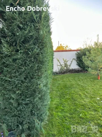 Градинарски услуги, цялостна поддръжка, озеленяване, автоматизирани поливни системи, снимка 7 - Други услуги - 46612177