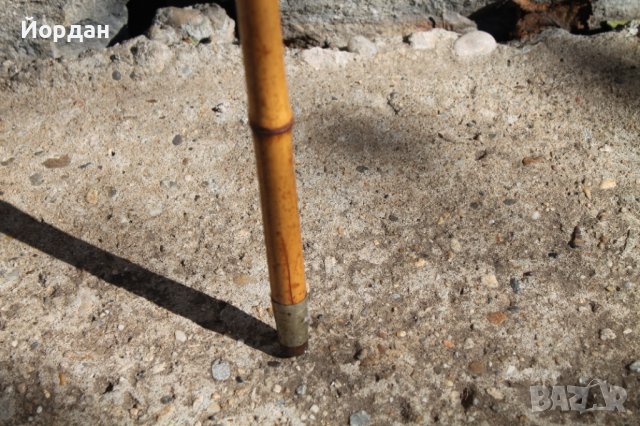 Стар бастун от бамбук със сребърна дръжка, снимка 4 - Колекции - 38300242