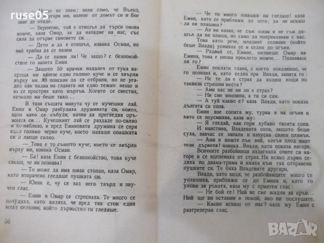 Книга "Нещастна фамилия - Васил Друмев" -124 стр., снимка 5 - Художествена литература - 37013865