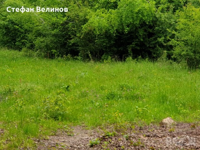 Продавам парцел в центъра на гр.Априлци, снимка 2 - Парцели - 14335829