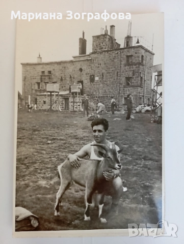 Картички 11 бр., - и 2 снимки, - 1917 г., и 50-те г., снимка 4 - Филателия - 47797910