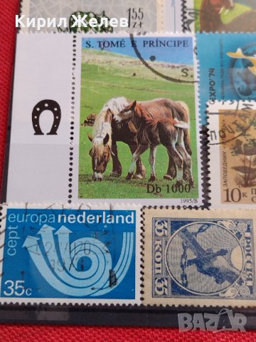 Лот Пощенски марки смесени серий ЖИВОТНИ от цял свят за КОЛЕКЦИЯ 22629, снимка 6 - Филателия - 40364741