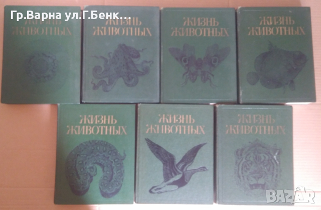 Жизн животнъих Енциклопедия в седем тома на руски език, снимка 1 - Енциклопедии, справочници - 44865955
