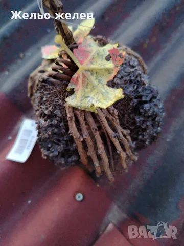 Декорация, панер,обувка , снимка 8 - Декорация за дома - 50331706