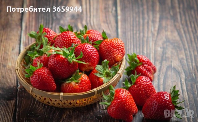 Предлагам елитен расад ягуди и малини