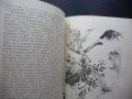Пияната гора; Шепнещата земя Джералд Даръл дивите животни 1лв за левче, снимка 2