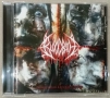 CD за продан (Bloodbath - Resurrection Through Carnage), снимка 1