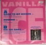 Vanilla Ice - Road to Riches/Ice Ice Baby 12” Maxi single, снимка 2