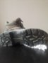 Мъжки зимни обувки, водонепропускливи, номер 40, снимка 4