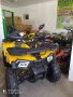 Alfarad 250cc NEW - ATV Kubratovo, снимка 12