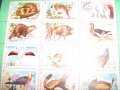 марки-серия цвета-животни и птици, снимка 2