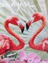 Картина Flamingo фламинго 40x40см , снимка 4
